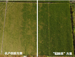 臺州農(nóng)資 臺州農(nóng)資